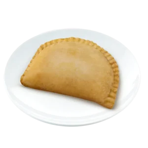 Chicken Empanada