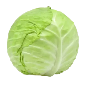Repolyo